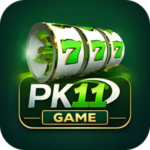 PK11 Game