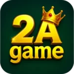 2A Game