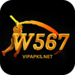 W567 Game