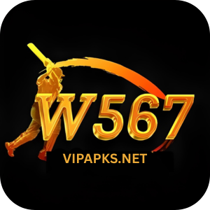 W567 Game
